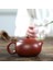 270ML Yixing Mor Kil Çaydanlıklar Xishi Çay Potu Delik Filtresi Su Isıtıcısı Master El Yapımı Zisha Teaware Dahongpao Otantik | Çaydanlıklar (Yurt Dışından) 3