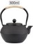 Japon Demir Çay Potu Paslanmaz Çelik ile Demlik Dökme Demir Çay Tapot Çay Su Isıtıcısı Kaynar Su Oolong Çayı 600ML | Çaydanlıklar (Yurt Dışından) 4
