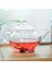 Şeffaf Çaydanlık Isıya Dayanıklı Cam Çaydanlık Çin Demliklü Kahve Çiçek Çay Yaprak Bitkisel Pot 250 ml Dayanıklı Su Isıtıcısı Hediye | Çaydanlıklar (Yurt Dışından) 2
