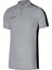 Dri-Fıt Academy Erkek Polo Tişört DR1346-012 DR1346-012011 1