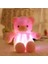 Büyük Renkli Parlayan Teddy Bear Aydınlık Peluş - LED LED Teddy Bear (Pembe) (Yurt Dışından) 1