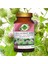 Dulavrat Otu Toz Ekstresi (Arctium Lappa)100 gr. Cam Kavanoz 5