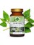 Isırgan Toz Ekstresi (Astragalus membranaceus)70 gr. Cam Kavanoz 4