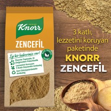Knorr Baharat Serisi Zencefil 50 g