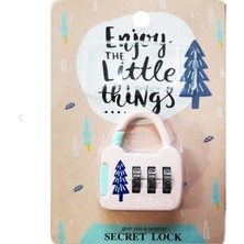 Taros Asma Kilit Şifreli