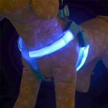 Techtic LED Işıklı Kedi Köpek Göğüs Tasması Küçük Irk Harness Air Mash Evcil Hayvan Ayarlanabilir Tasma