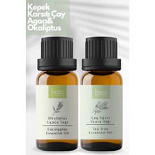 Boco 2'li Avantajlı Paket Kepek Karşıtı Çay Ağacı Yağı & Okaliptus %100 Saf Uçucu Yağı (20ml)