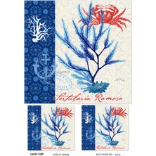 Lineart Pirinç Dekopaj Kağıdı LA-AG35