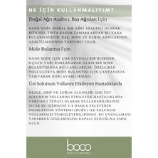 Nane Uçucu Yağı , Saf Ve Doğal, Difüzör, Masaj, Banyo, Spa, Cilt, Derin Nefes 10 ml