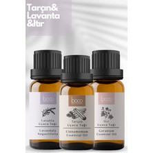 Boco Nature Itır & Lavanta & Tarçın Saf Aromaterapi Uçucu Yağı Lı 3lü Set 25 Ml