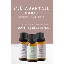 Boco Itır & Lavanta & Çay Ağacı Saf Aromaterapi Uçucu Yağı 3'Lü Set (30 Ml)