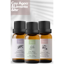 Boco Itır & Lavanta & Çay Ağacı Saf Aromaterapi Uçucu Yağı 3'Lü Set (30 Ml)