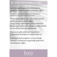 Boco 2'li Derin Huzur Ylang_Ylang & Lavanta  Saf Aromaterapi Uçucu Yağı (20 Ml)