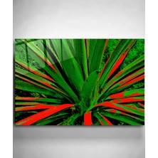 Hinora Alaca Yapraklı Bitki Cam Tablo, Dekoratif Cam Tablo