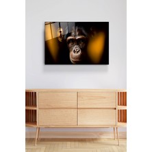 Hinora Monkey Cam Tablo, Dekoratif Cam Tablo