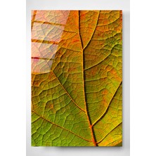 Hinora Yaprak Cam Tablo, Dekoratif Cam Tablo