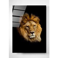 Hinora Digi-Glass  Aslan-1cam Tablo