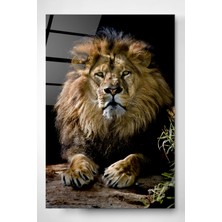 Hinora Aslan Cam Tablo, Dekoratif Cam Tablo