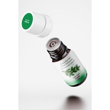 Proclis Çam Yağı, %100 Doğal Uçucu Yağ, Pine Oil 10 ml Sprey Başlıklı