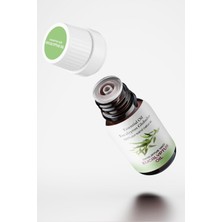 Proclis Okaliptüs Yağ, Doğal Uçucu Yağ, Eucalyptus Oil, Eucalyptus Globulus 10 ml