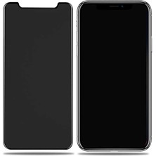 Cep Case Apple  iPhone x Ekran Koruyucu Premium Hayalet Ekran Temperli Cam Privacy Ekran Koruyucu Siyah