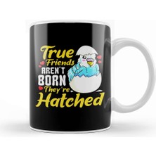 Baskı Dükkanı Bird Pun Cute True Friends Aren't Born, They're Hatched Kupa Bardak Porselen
