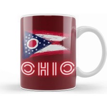 Baskı Dükkanı Ohio State Flag Gift Vintage Retro Rainbow Style Kupa Bardak Porselen