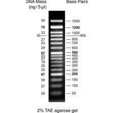 Genedirex 50BP Dna Ladder Rtu (Ready-To-Use)