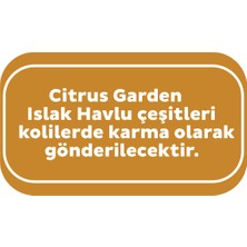 Sleepy Citrus Garden Islak Bebek Havlusu 12X90 (1080 YAPRAK)