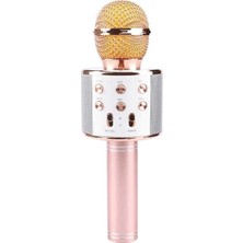 Bi Dünya İletişim Acl BLIC45 Karaoke Mikrofonu