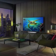 LG OLED55C34LA 55" 139 Ekran Uydu Alıcılı 4K Ultra HD Smart LED TV