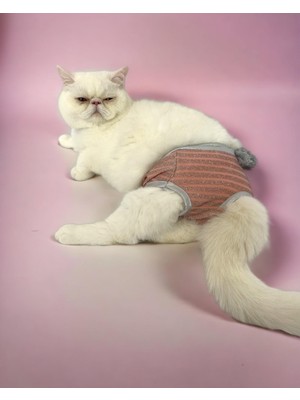 Kemique Pink Shine Kemique's Secret Kedi Iç Çamaşırı  Regl Külot  Don