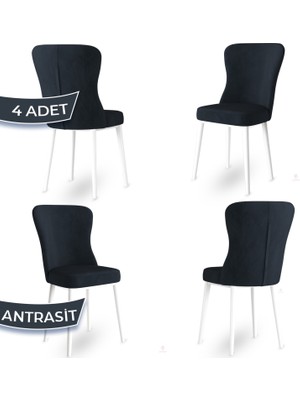 Canisa Concept Tita Serisi 4 Adet Mutfak Sandalyesi Metal Beyaz Ayaklı 1. Sınıf Babyface Kumaş