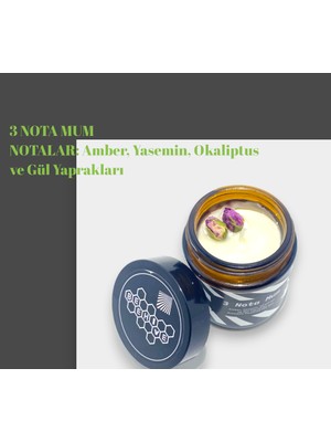 Guruyemiş Box 3 Nota Hediyelik Mum Doğal Aromatik Soya Mumu Esansiyel Amber Yasemin Okaliptüs Notları Kokusu