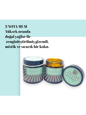 Guruyemiş Box 3 Nota Hediyelik Mum Doğal Aromatik Soya Mumu Esansiyel Amber Yasemin Okaliptüs Kokulu