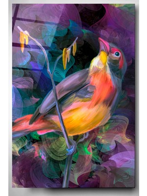Hinora Renkli Kuş Cam Tablo, Dekoratif Cam Tablo
