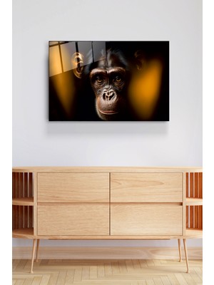 Hinora Monkey Cam Tablo, Dekoratif Cam Tablo