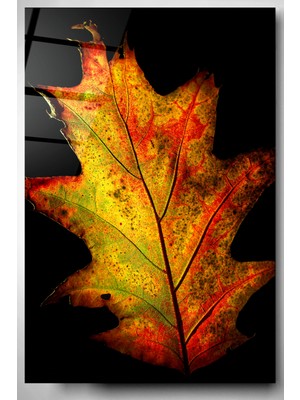 Hinora Yaprak Cam Tablo, Dekoratif Cam Tablo