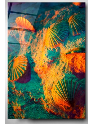 Hinora Midye Cam Tablo, Dekoratif Cam Tablo