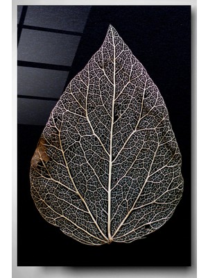 Hinora Bakır Yaprak Cam Tablo, Dekoratif Cam Tablo