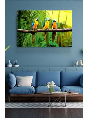 Hinora Ararauna Papağanı Cam Tablo, Dekoratif Cam Tablo
