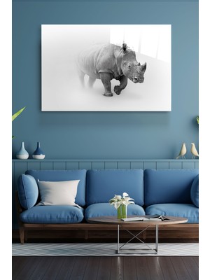 Hinora Gergedan Cam Tablo, Dekoratif Cam Tablo