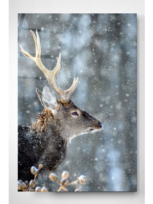 Hinora Geyik Cam Tablo, Dekoratif Cam Tablo