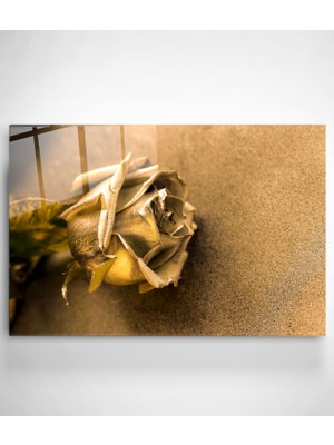 Hinora Gold Gül Cam Tablo, Dekoratif Cam Tablo