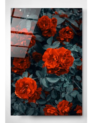 Hinora Kırmızı Güller Cam Tablo, Dekoratif Cam Tablo, Modern Cam Tablo