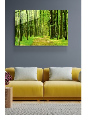 Hinora Orman Cam Tablo, Dekoratif Cam Tablo