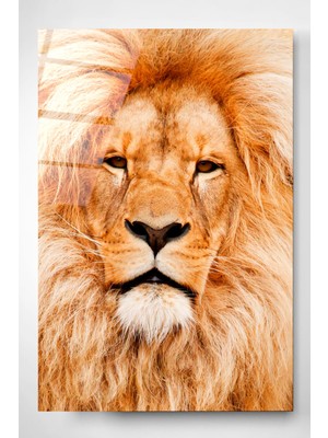 Hinora Aslan Cam Tablo, Dekoratif Cam Tablo, Modern Cam Tablo