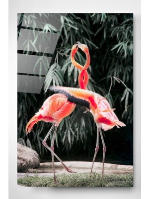 Hinora Flamingolar Cam Tablo, Dekoratif Cam Tablo, Modern Cam Tablo