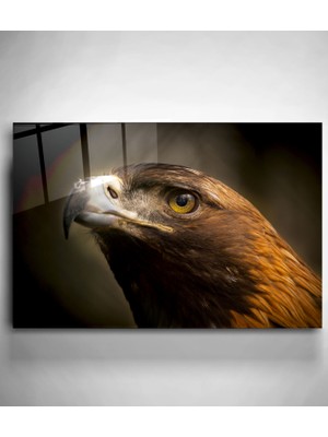 Hinora Şahin Cam Tablo, Dekoratif Cam Tablo