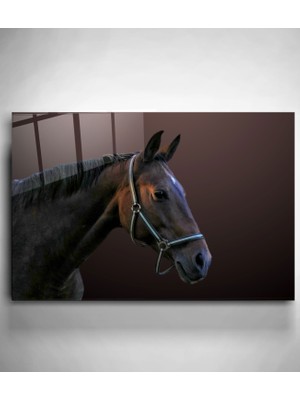 Hinora At Cam Tablo, Dekoratif Cam Tablo